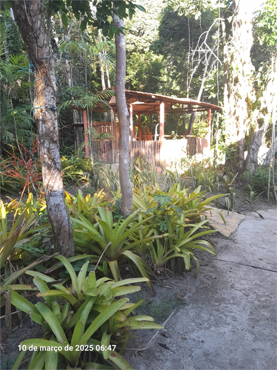 Foto REO1097859