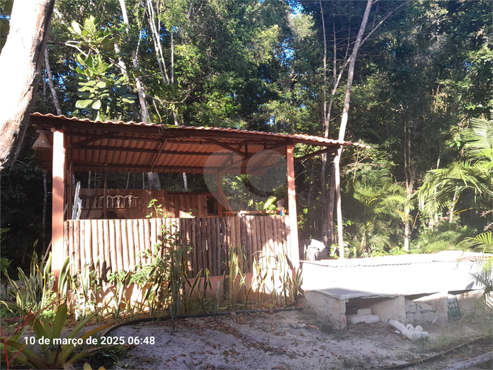 Foto REO1097859