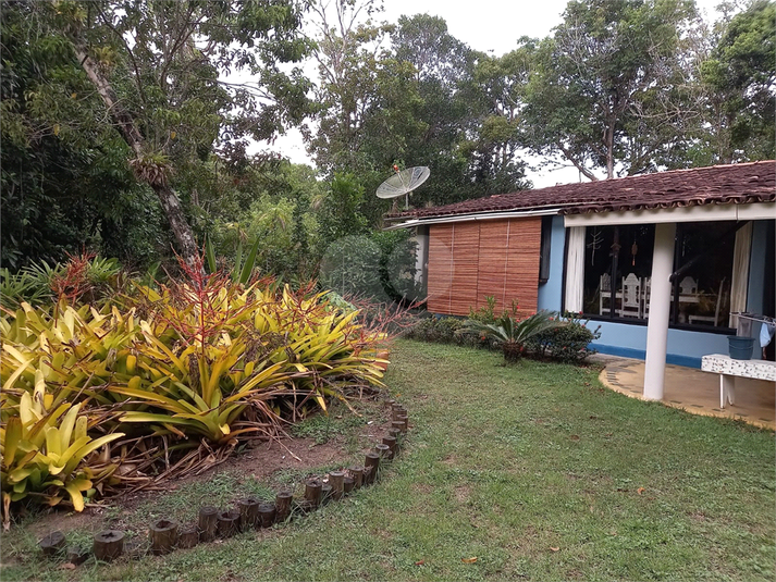 Foto REO1097859