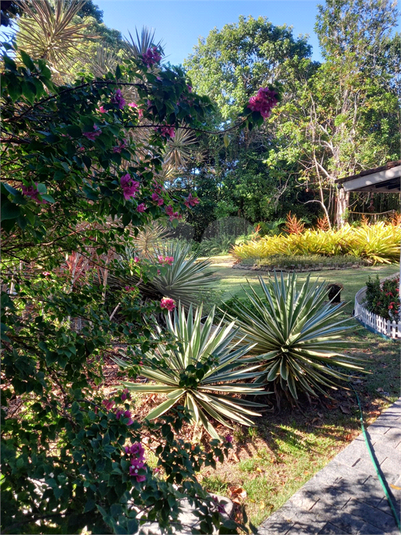 Foto REO1097859