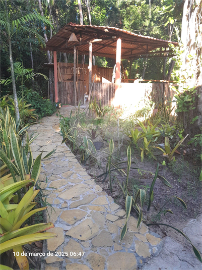 Foto REO1097859