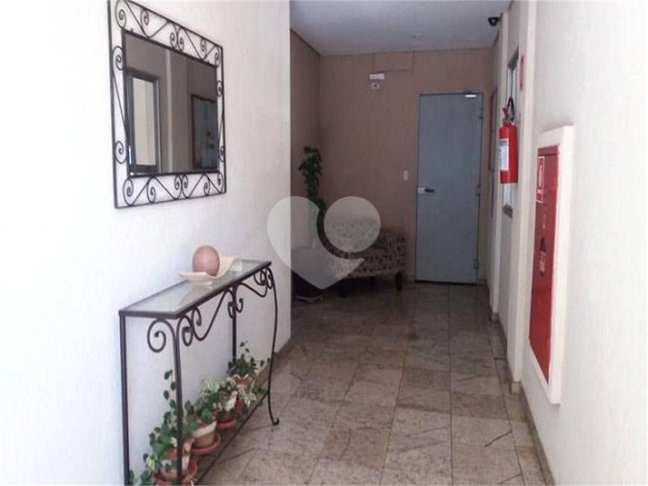 Foto REO1097867