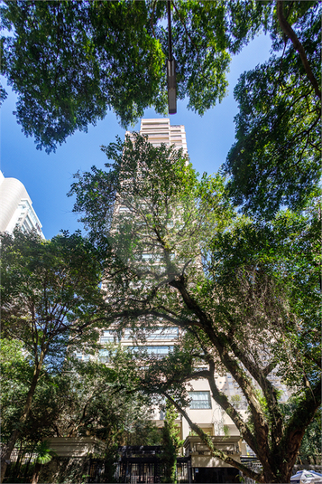 Foto REO1097870