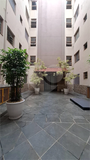 Foto REO1097873