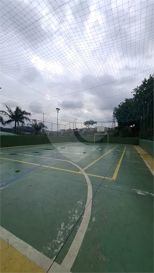 Foto REO1097873