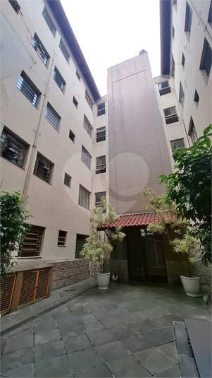 Foto REO1097873