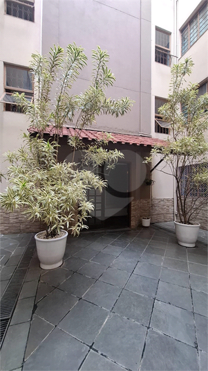 Foto REO1097873