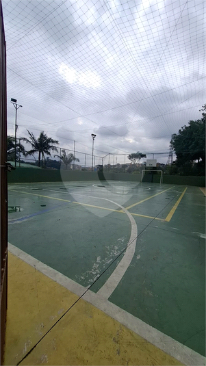 Foto REO1097873