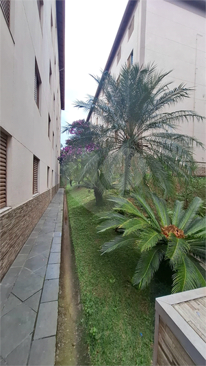 Foto REO1097873