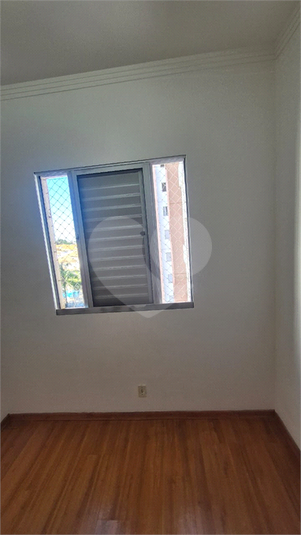 Foto REO1097880