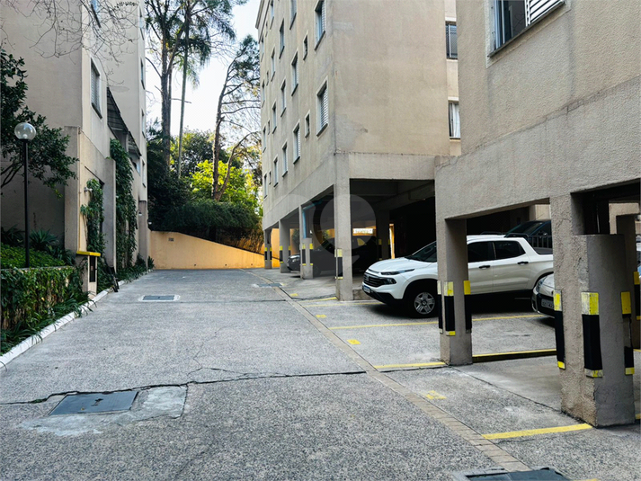 Foto REO1097882