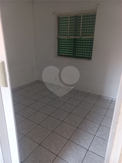 Foto REO1097889