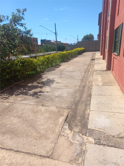 Foto REO1097889
