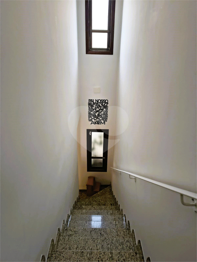 Foto REO1097890