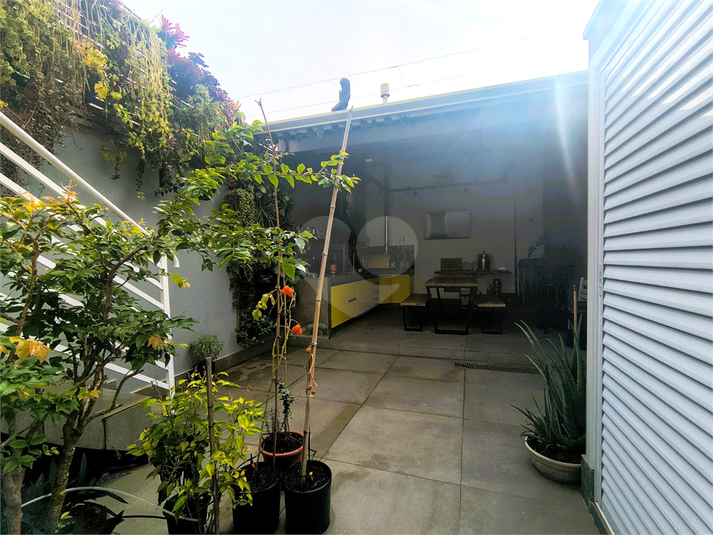 Foto REO1097890
