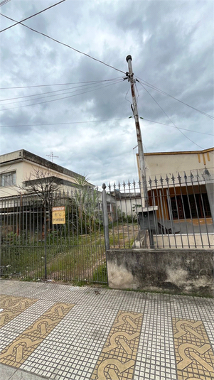 Foto REO1097898