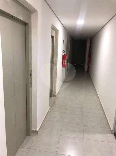 Foto REO1097920