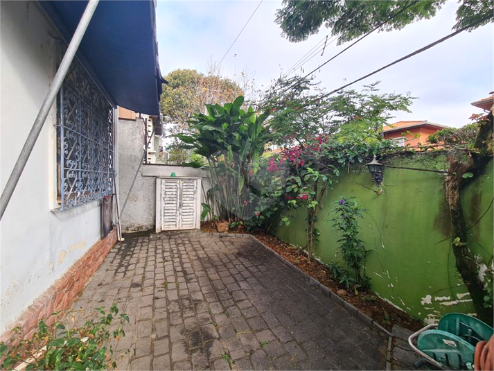 Foto REO1097940
