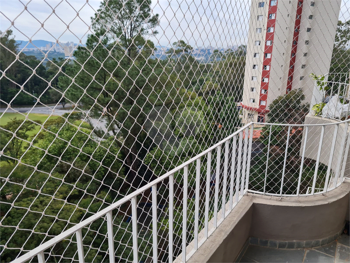 Foto REO1097957