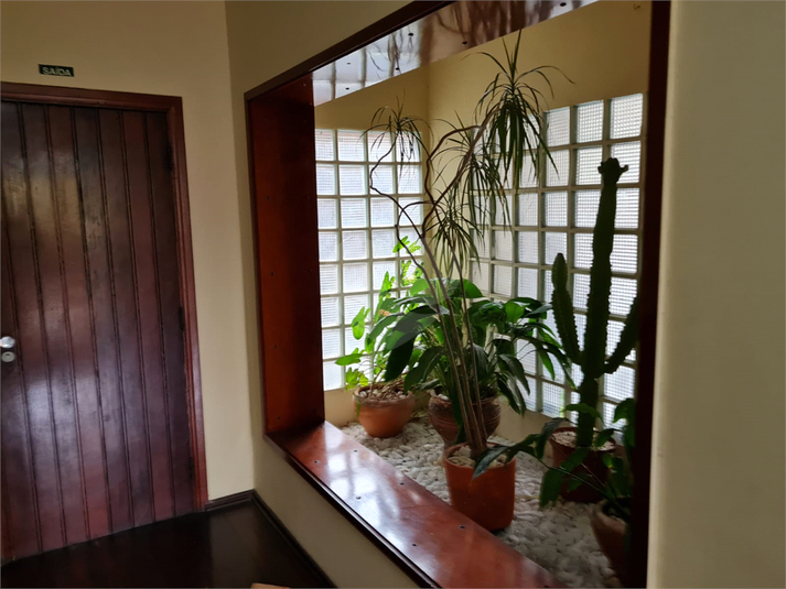 Foto REO1097957