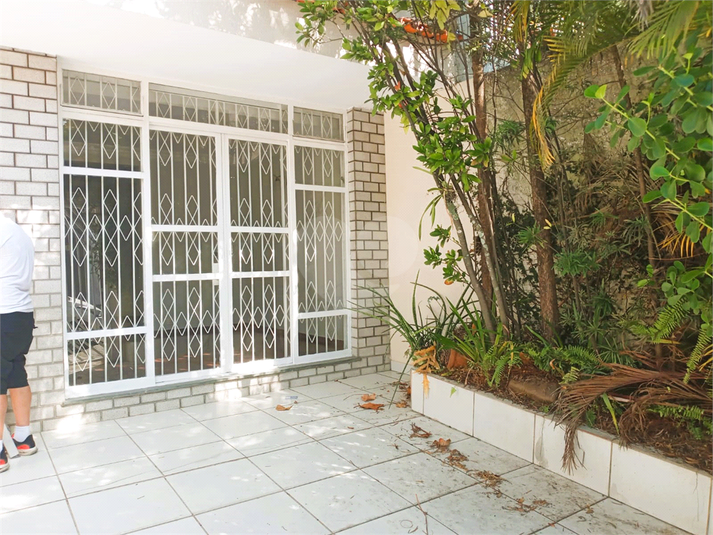 Foto REO1097967
