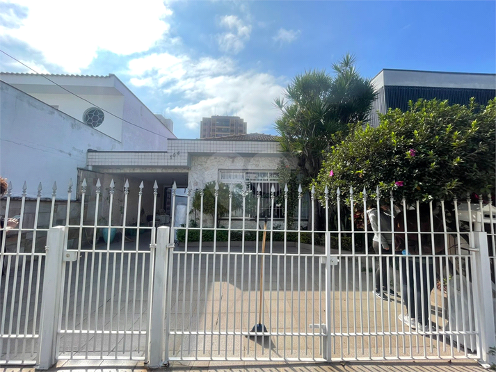 Foto REO1097976