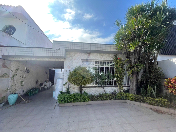 Foto REO1097976