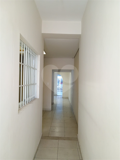 Foto REO1097983