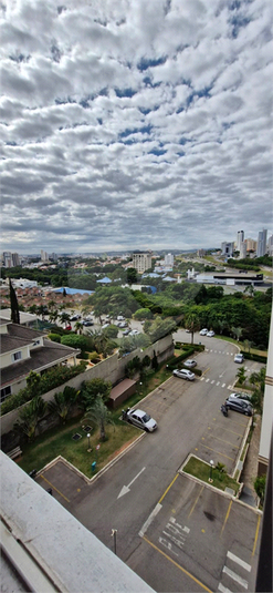Foto REO1097984