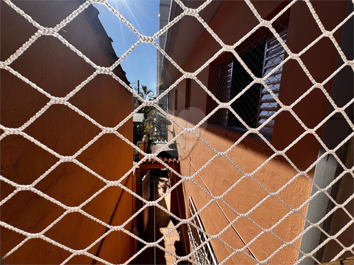 Foto REO1097990