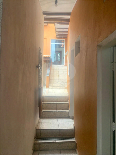 Foto REO1097992