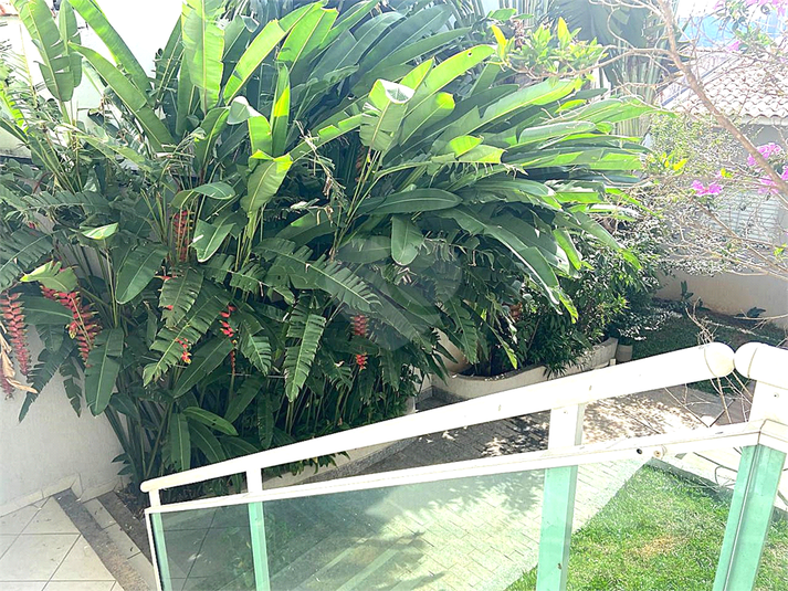 Foto REO1097998