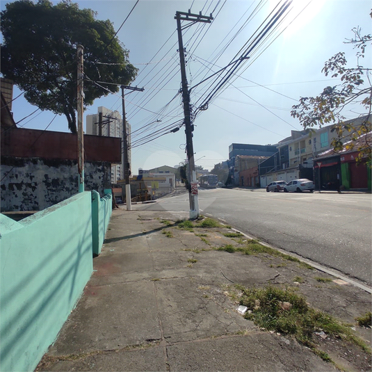 Foto REO1098001
