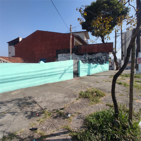Foto REO1098001