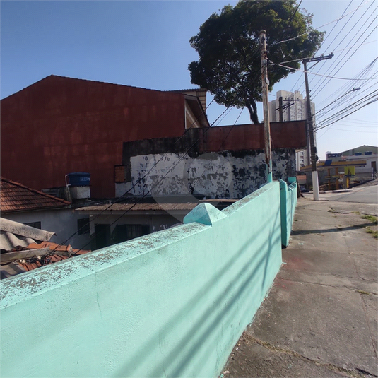 Foto REO1098001