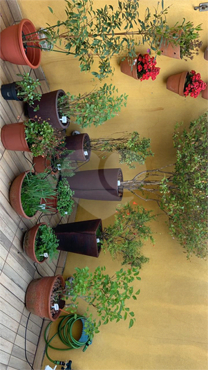 Foto REO1098022