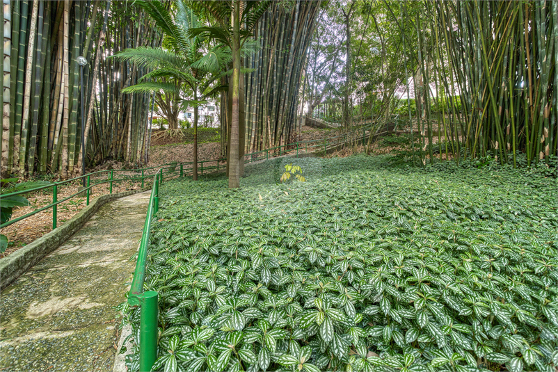 Foto REO1098026