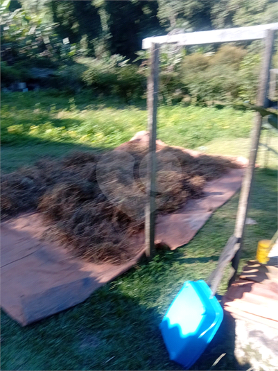 Foto REO1098035