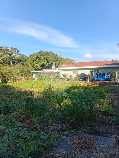 Foto REO1098035