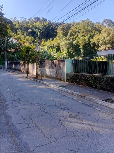 Foto REO1098035