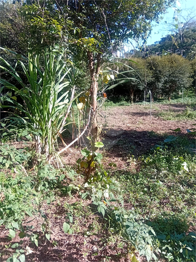 Foto REO1098035