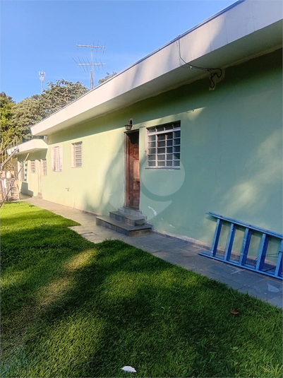 Foto REO1098035