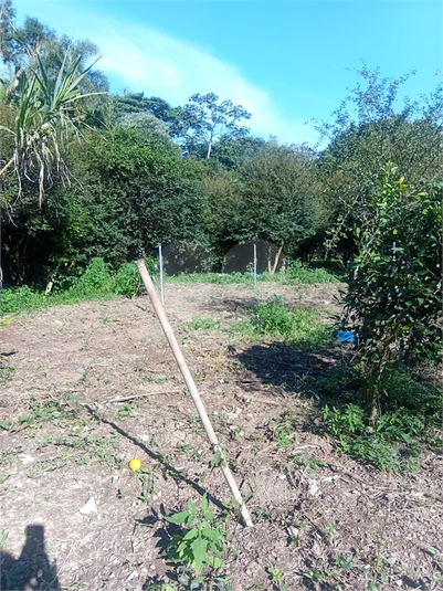 Foto REO1098035