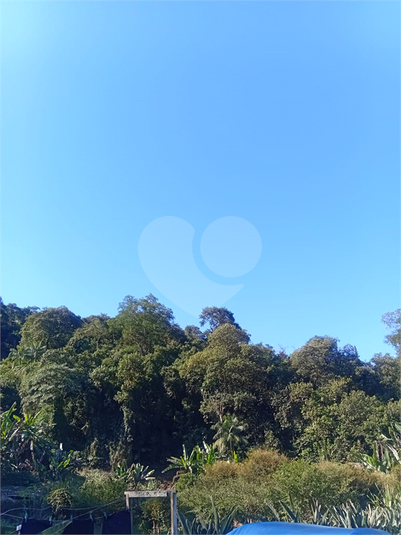 Foto REO1098035