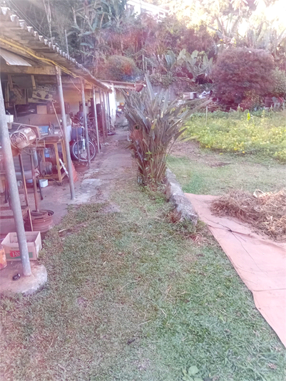 Foto REO1098035