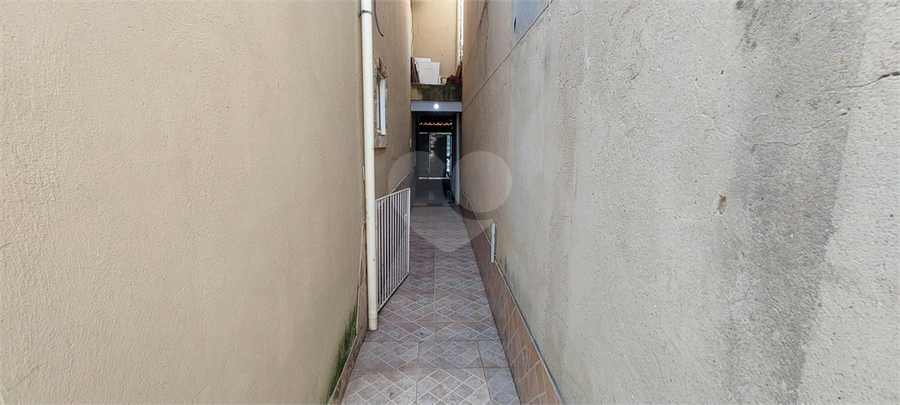 Foto REO1098041