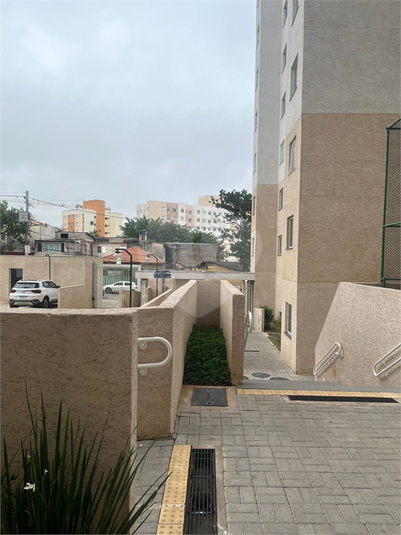 Foto REO1098052
