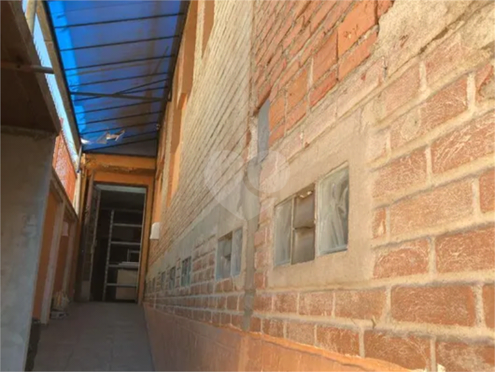 Foto REO1098053