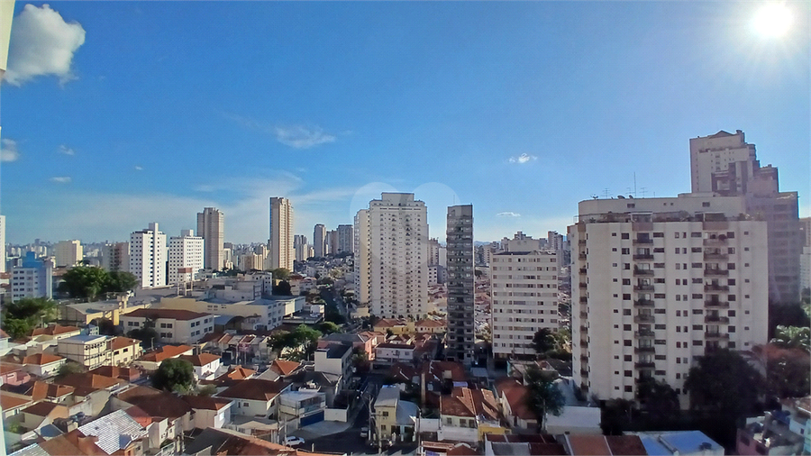 Foto REO1098054