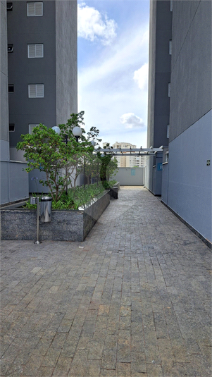 Foto REO1098079